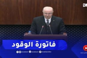 الوزير الأول : فاتورة الوقود.. انتقلت من 4.6 مليار في 2012 الى1.4 مليار دولار سنة 2021