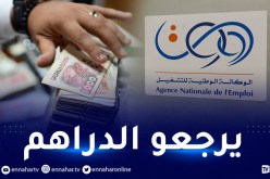 الإقصاء والمساءلة القانونية لهذه الفئات المستفيدة من منحة البطالة