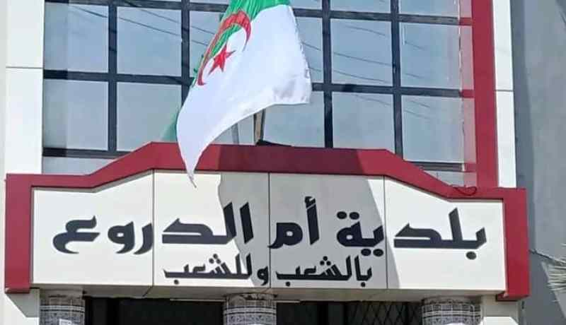 الشلف: مصالح بلدية أم الدروع تحذر مربي الدواجن من إنفلونزا الطيور