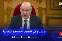 رئيس الجمهورية يدعو الحكومة إلى الإسراع في تنصيب المحاكم التجارية