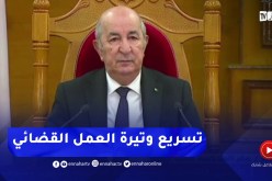 رئيس الجمهورية يؤكّد ضرورة تسريع وتيرة العمل القضائي بما يتماشى والحياة الإقتصادية الجديدة
