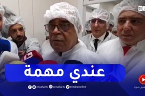 علي عون : أكثر من 400 مشروع ينطلق في الإنتاج بعد رفع العراقيل البيروقراطية عنها