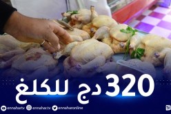 وزير الفلاحة: إخراج كميات من اللحوم البيضاء إلى السوق