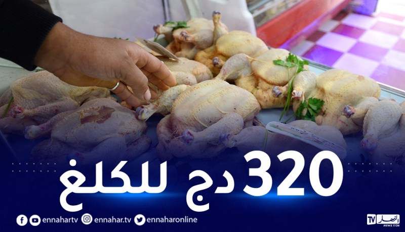 وزير الفلاحة: إخراج كميات من اللحوم البيضاء إلى السوق