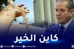 وزير الفلاحة: الإنتاج الفلاحي بلغ 4500 مليار دج هذه السنة