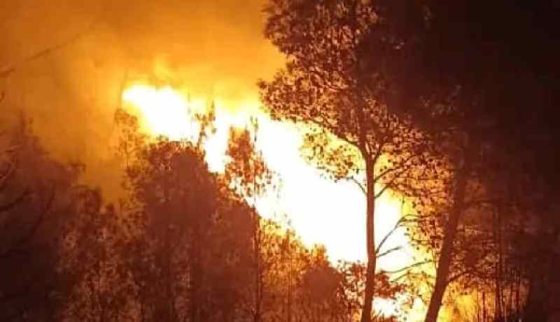 الشلف: تسجيل ألسنة نيران بعلو 5 أمتار بحريق غابة الروايشية