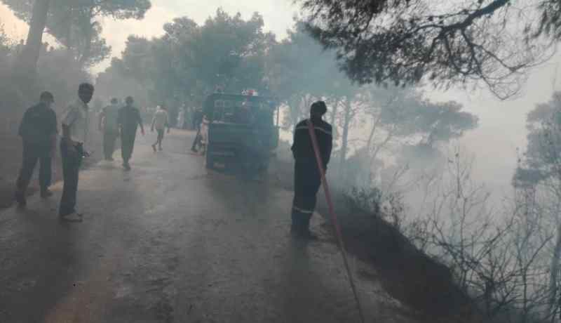 الشلف: إجلاء 4 عائلات من محيط حريق الروايشية