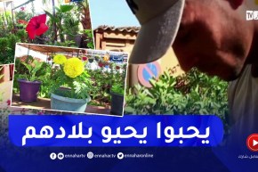غرداية: إقبال المواطنين على الورود لتزيين منازلهم ينعش نشاط المشاتل