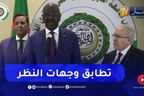 وزير الشؤون الخارجية الموريتاني : سجلنا تطابق وجهات النظر في مجمل قضايا الوطن العربي والبلدين معا