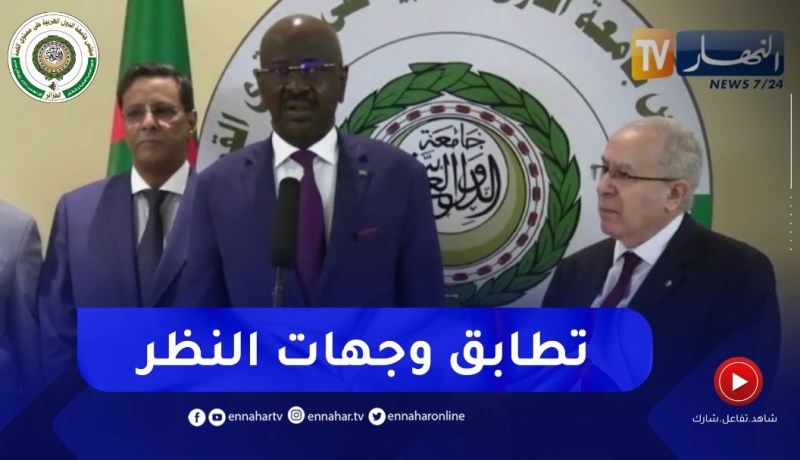 وزير الشؤون الخارجية الموريتاني : سجلنا تطابق وجهات النظر في مجمل قضايا الوطن العربي والبلدين معا