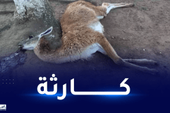 جيجل: نفوق عدد من الحيوانات بحديقة العوانة