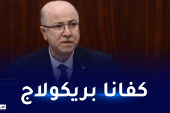 هذا ماقاله الوزير الأول حول دفتر شروط جديد لاستيراد وبيع السيارات الجديدة