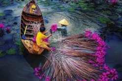 حقيقة الدنيا