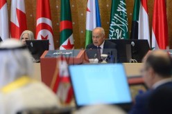أبو الغيط: الجهد العربي يحتاج لتمويل عربي والمال موجود