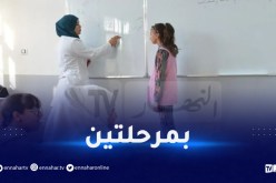 الشروع في ترقية 36 ألف أستاذ