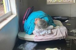 أمريكي يسبح في مياه الإعصار لمدة 45 دقيقة لإنقاذ والدته