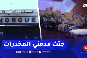 جـ ـرائم قتـ ـل ومدمنو المخدرات.. أكثر الـ.ـجثث التي تستقبلها مصالح التشريح