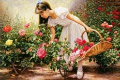 لكل من فقد الأمل في الحياة نهديه هذه الكلمات…