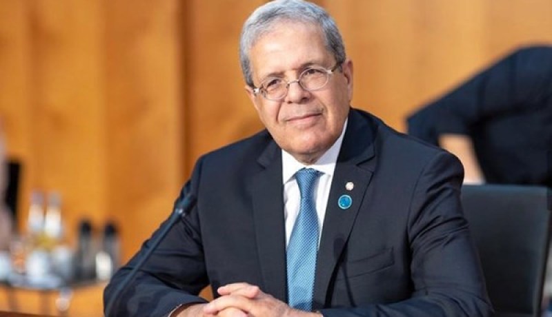 الجرندي: التعاون الجزائري- التونسي عرف ديناميكية جديدة منذ قدوم الرئيس تبون