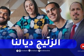 “بعجي يردّ على المغاربة: “الزلّيج متواجد في قصر بتلمسان