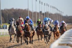 ثغرة مالية بشركة سباق الخيول تورط موظفين للسماح بتنقل الأحصنة مجانا