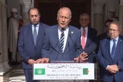 أبو الغيط: يجب أن أعترف.. الرئيس تبون شخصية رائعة