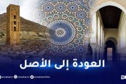 الزليج جزائري وفقط.. هذا هو الدليل القاطع!  