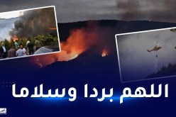 الشلف: اتساع رقعة الحرائق بفعل الرياح وإجلاء السكان