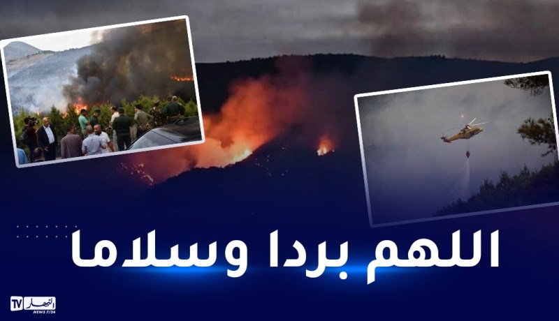 الشلف: اتساع رقعة الحرائق بفعل الرياح وإجلاء السكان