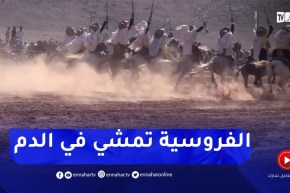 البطولة الوطنية للفروسية التقليدية..فرصة للرقي بها والحفاظ عليها