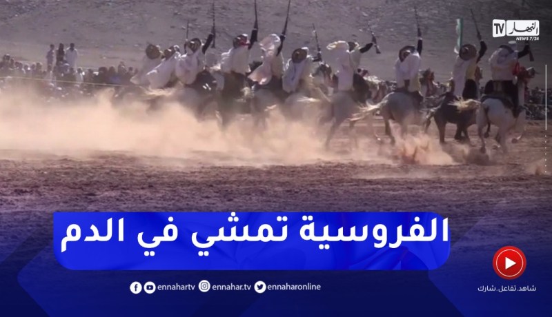البطولة الوطنية للفروسية التقليدية..فرصة للرقي بها والحفاظ عليها