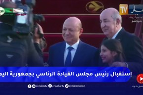 رئيس الجمهورية يستقبل رئيس مجلس القيادة الرئاسي بجمهورية اليمن