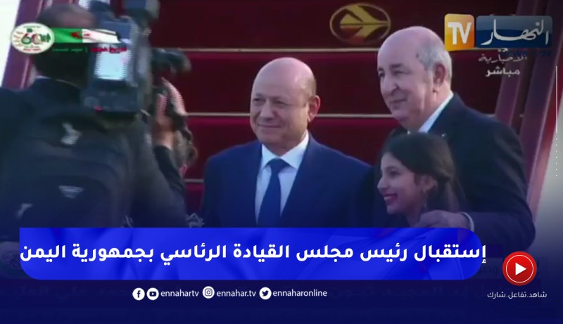 رئيس الجمهورية يستقبل رئيس مجلس القيادة الرئاسي بجمهورية اليمن