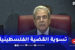 “وزير الخارجية التونسي :” تسوية القضية الفلـ.ـسطينية هو الطريق لتحقيق السلام في الشرق الأوسط