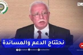 المالكي: القضية الفلسطينية بحاجة لإسناد ودعم من الأشقاء العرب