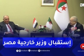 وزير الخارجية رمطان لعمامرة يستقبل نظيره المصري