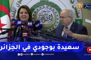 “نجلاء المنقوش:” نتمنى أن تكون كل قرارات القمة العربية لمصلحة الملف العربي والدول العربية