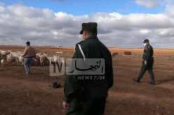 تيارت: تفكيك شبكتين لسرقة الماشية واسترجاع 75 رأسا بفرندة وقصر الشلالة