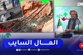 طالع هابط: النوي يقصف السلطات المحلية بورقلة بسبب حفرة في حي النصر