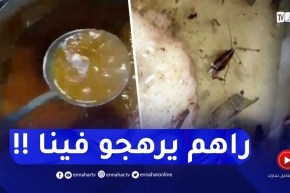 كــارثة.. وجبات بالصراصير في الإقامة الجامعية برطال بوزيد في الأغواط