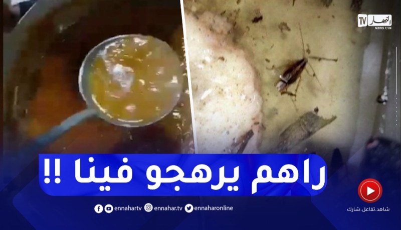 كــارثة.. وجبات بالصراصير في الإقامة الجامعية برطال بوزيد في الأغواط