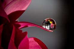 حين يتقدم العمر بنا