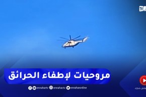 شاهد.. مروحيات الجيش لإخماد الحرائق ببجاية