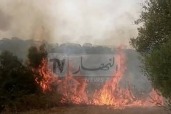 تسجيل 38 حريقا وإتلاف 20 هكتار ببومرداس