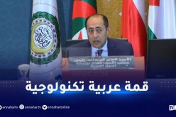حسام زكي.. الجزائر نجحت في عقد قمة عربية لا ورقية