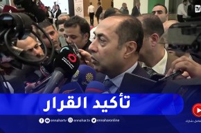 حسام زكي يؤكد على تبنّي وزراء الخارجية العرب للقرارات السابقة بشأن السودان