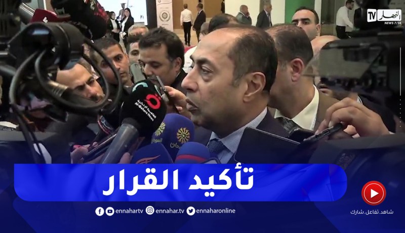 حسام زكي يؤكد على تبنّي وزراء الخارجية العرب للقرارات السابقة بشأن السودان