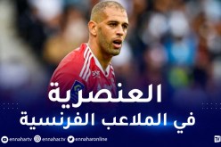 بالفيديو.. سليماني يتعرض للعنصرية في مباراة بريست وكليرمون فوت