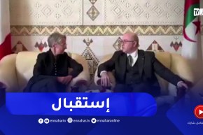 الوزير الأول يستقبل رئيسة الوزراء الفرنسية مرفوقة بوفد وزاري هام