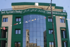 تحويل الصندوق الوطني للسكن إلى مؤسسة عمومية اقتصادية